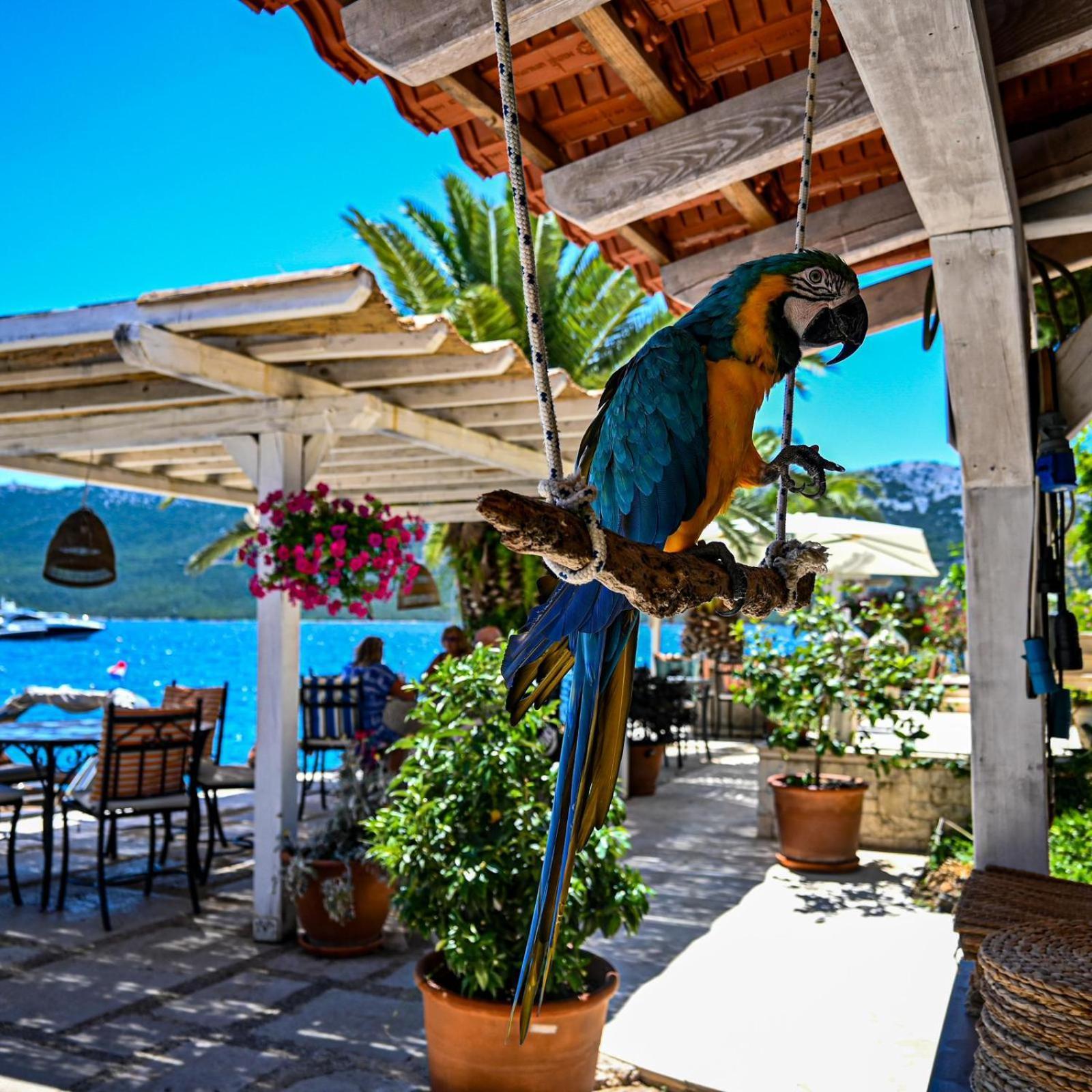 Villa Rava Hotel & Restaurant 外观 照片